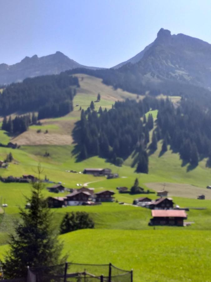 Chalet Aloa Lejlighed Adelboden Eksteriør billede