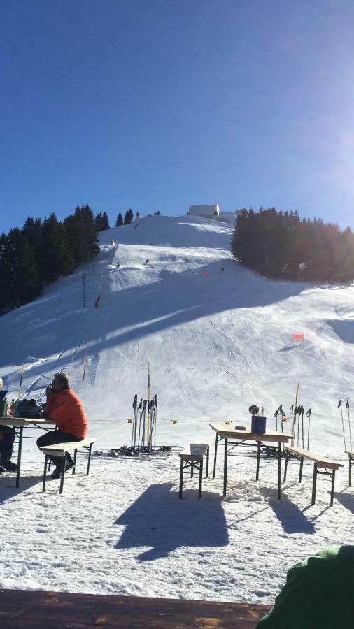 Chalet Aloa Lejlighed Adelboden Eksteriør billede