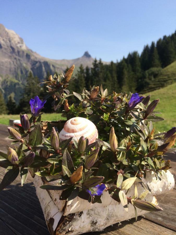 Chalet Aloa Lejlighed Adelboden Eksteriør billede